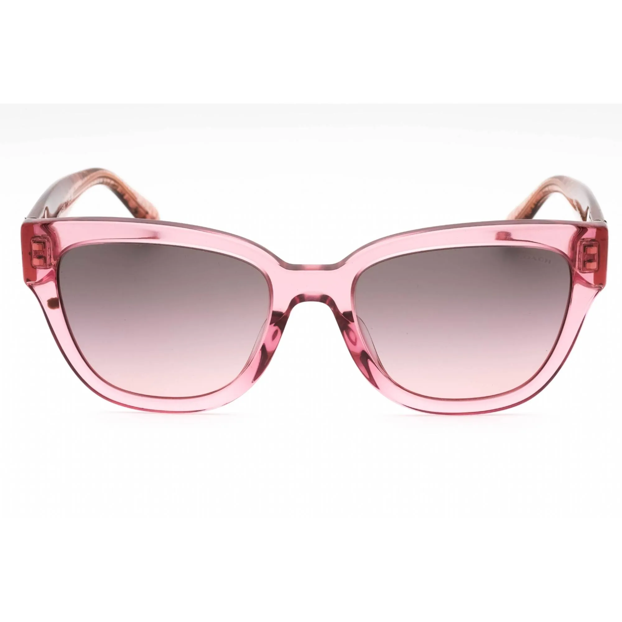 Coach Women's Sunglasses - Transparent Pink Gradient Cat Eye Frame | 0HC8379U 580046