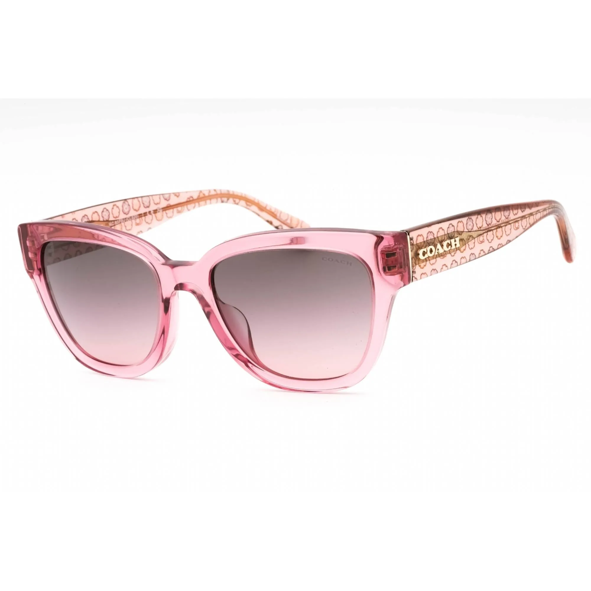 Coach Women's Sunglasses - Transparent Pink Gradient Cat Eye Frame | 0HC8379U 580046