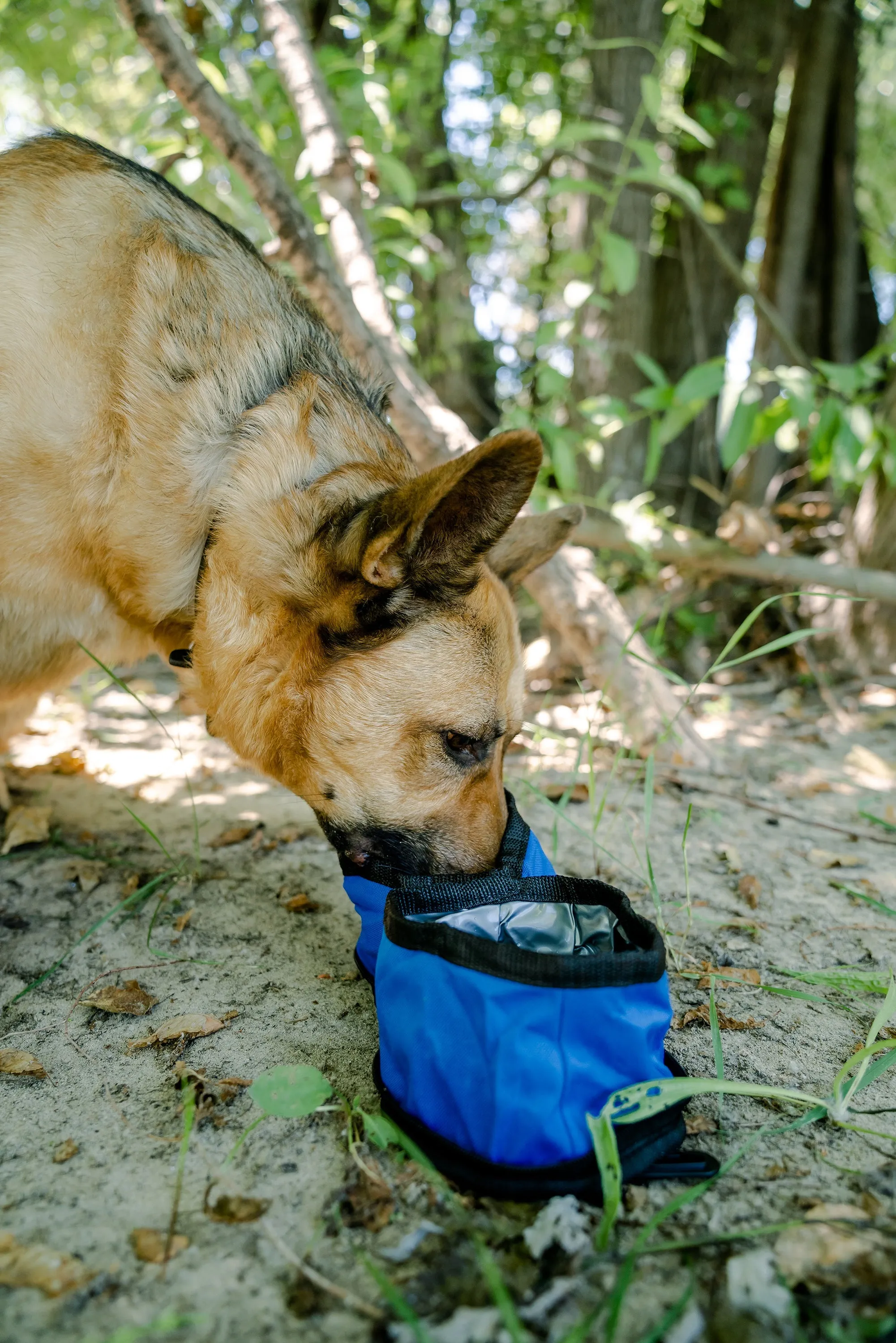 Collapsible Dog Bowls - Double Zips Together